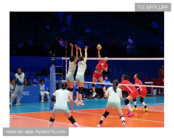 女排战术深度分析被广泛转载学习